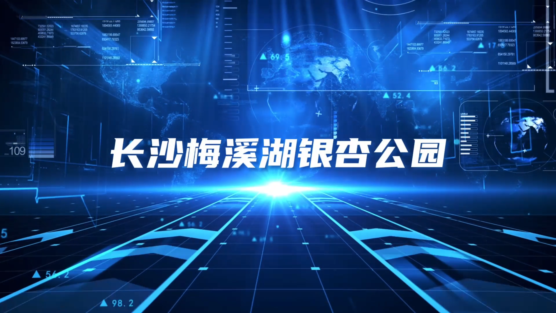 长沙梅溪湖项目